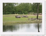 Dierentuin Burgers  Zoo 079 * 3648 x 2736 * (6.27MB)